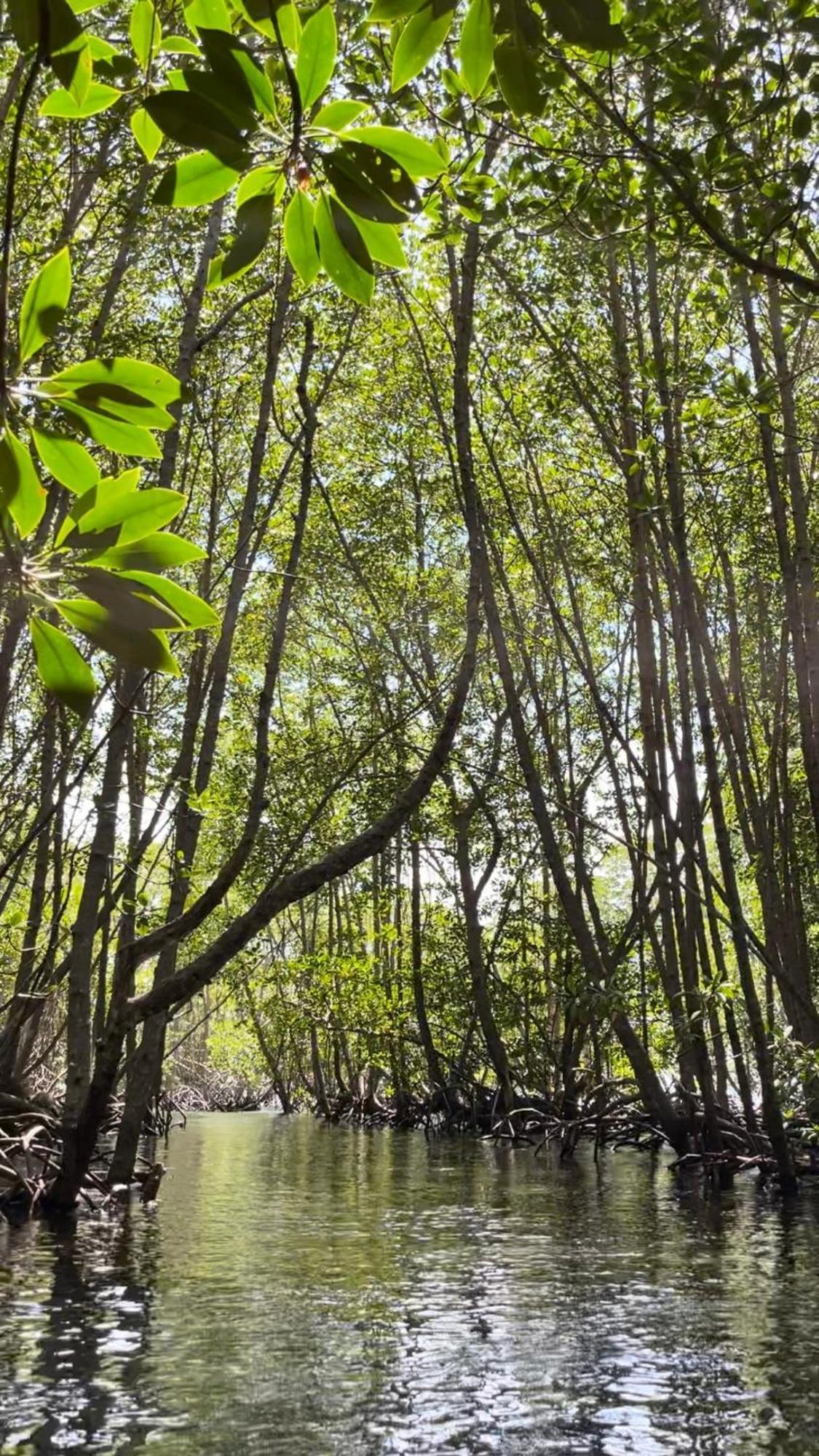 Mangrove Beach Hut Нуса-Лембонган Экстерьер фото